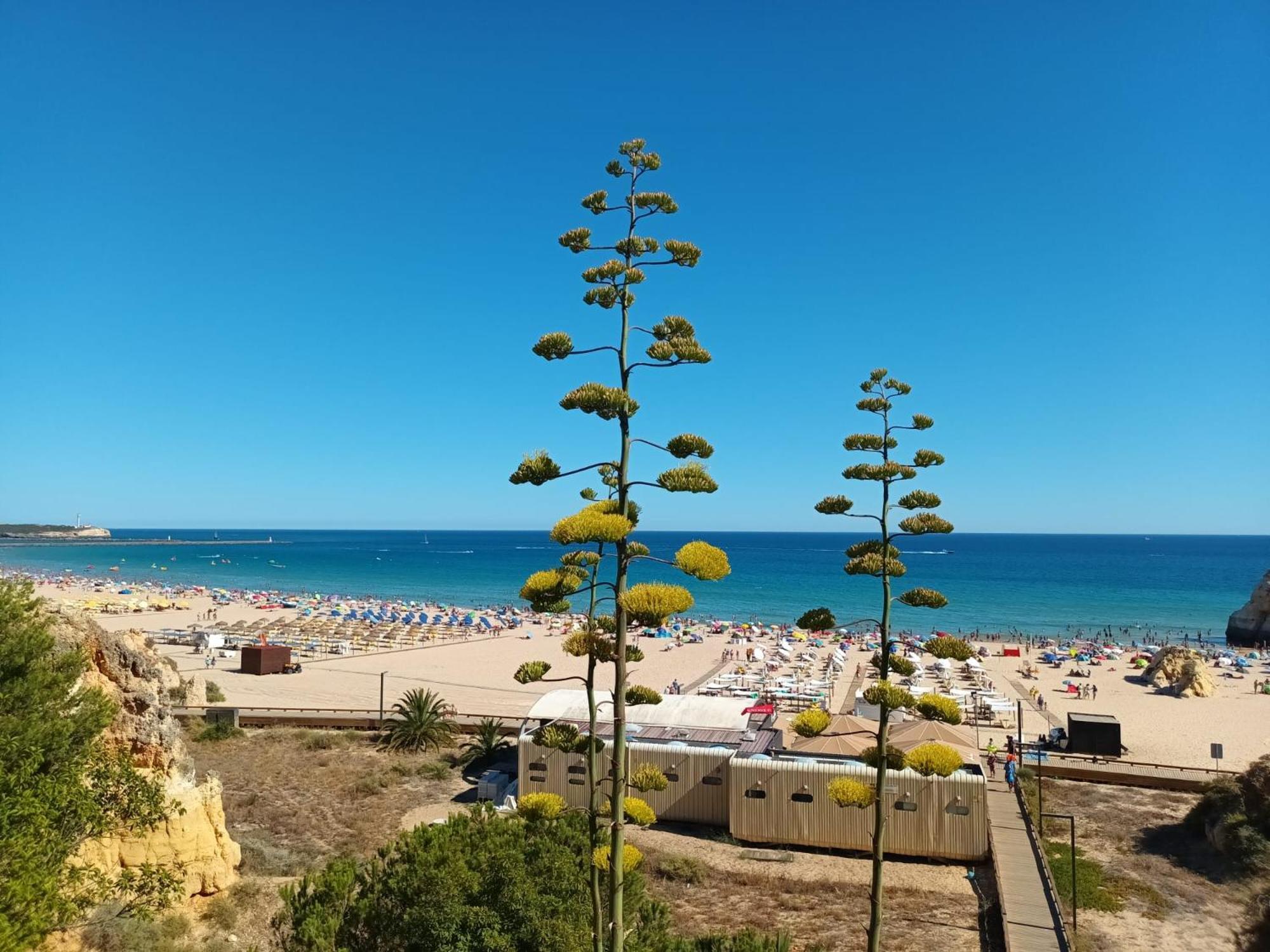 Luxury 2 Min Beach With Balcony, Ocean View, Wifi, Ac, Smarttv Portimão Exterior foto